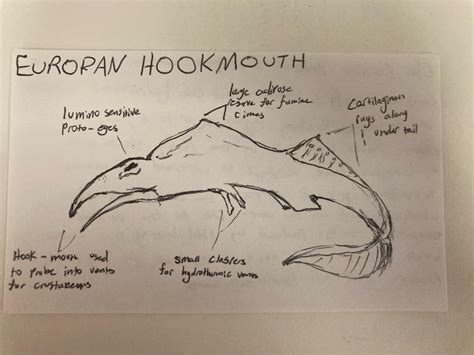 european hookmouth|r/europanhookmouth